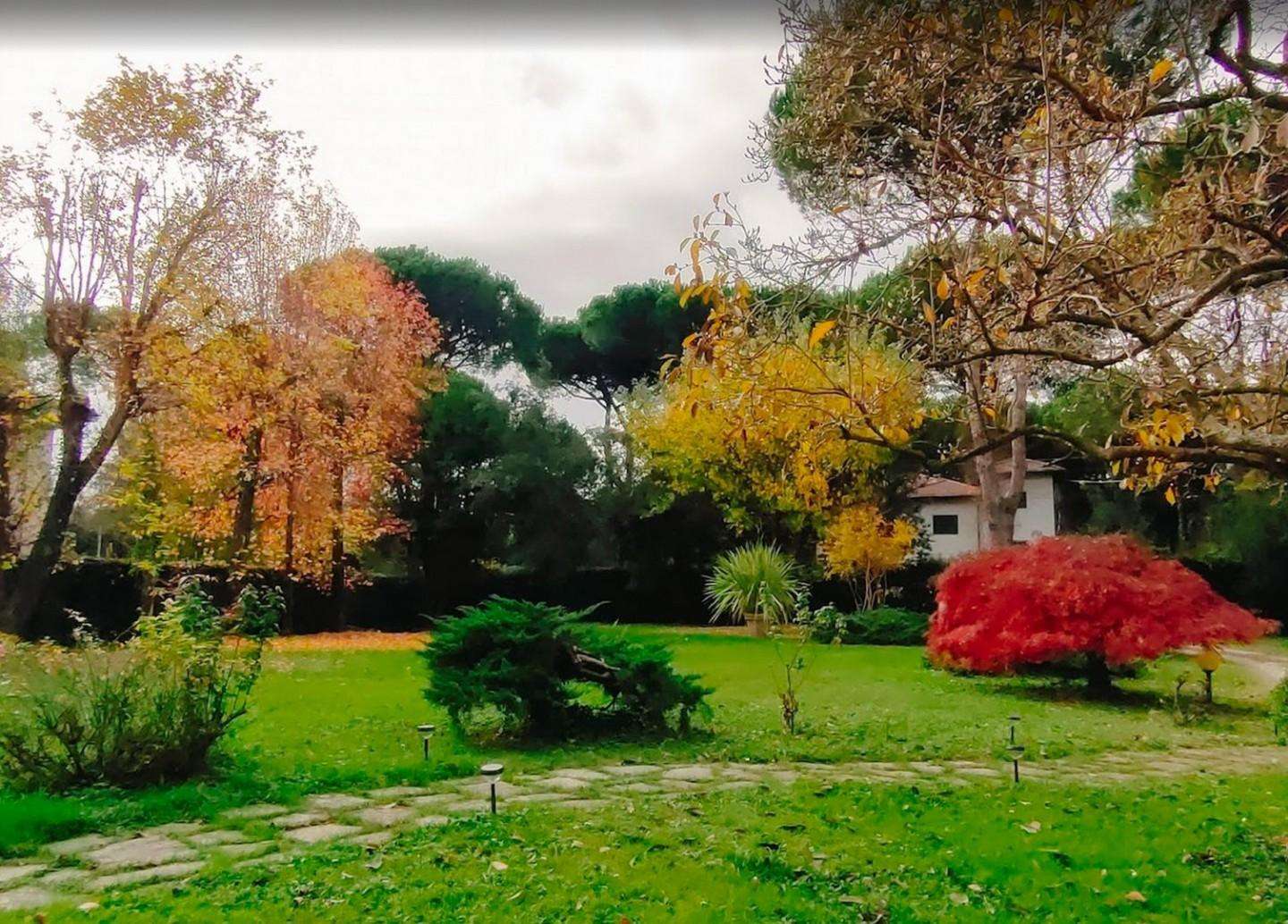  - foto 7