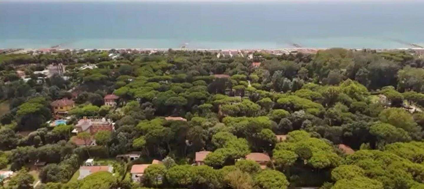  - foto 8