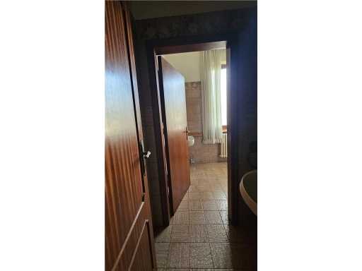  - foto 16