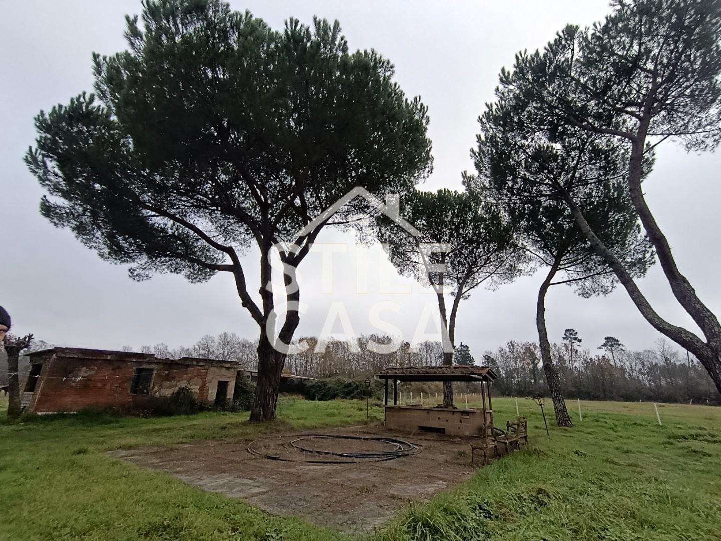 Azienda agricola Galleno PI,  56022, Castelfranco di Sotto