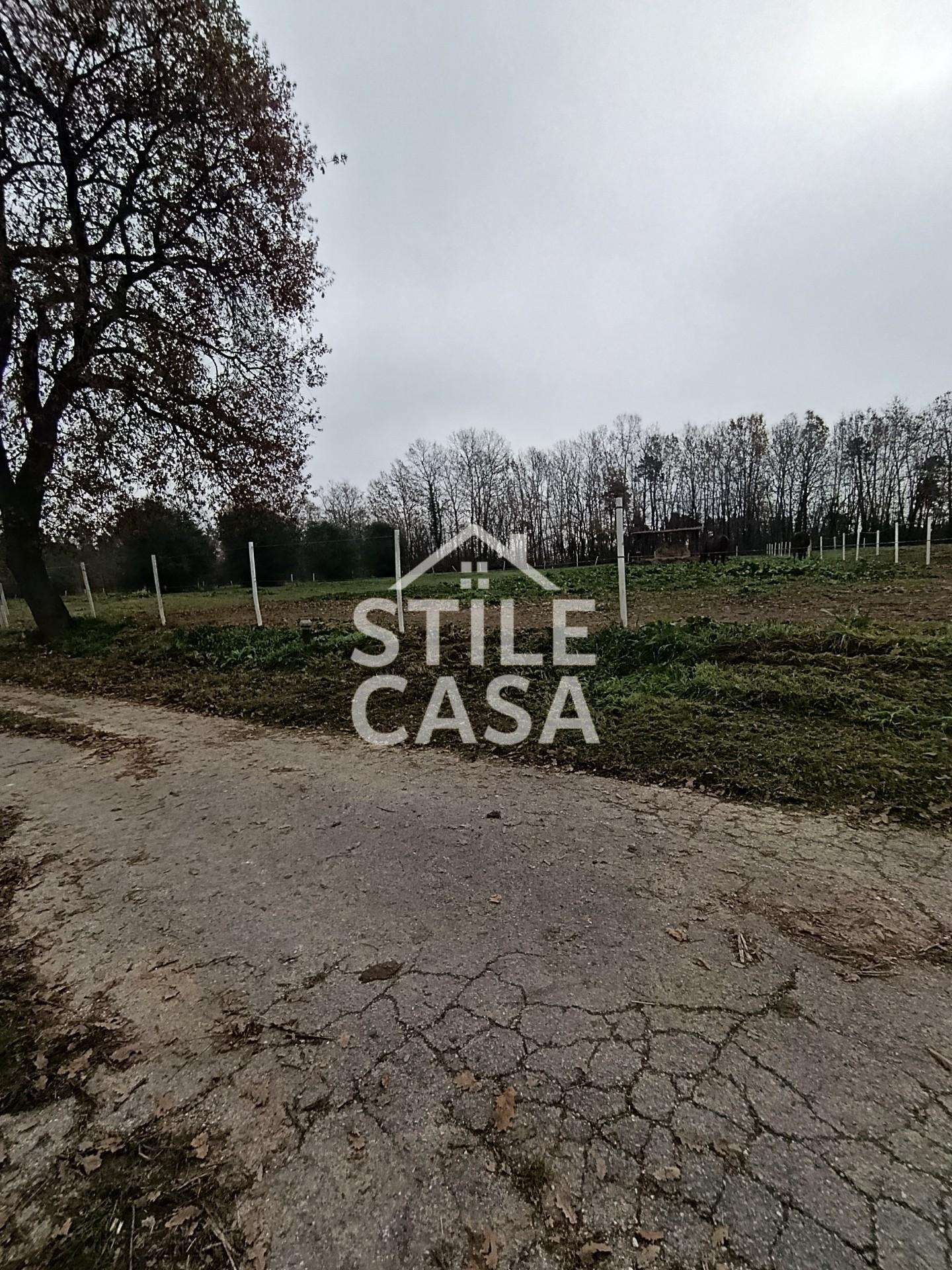  - foto 14