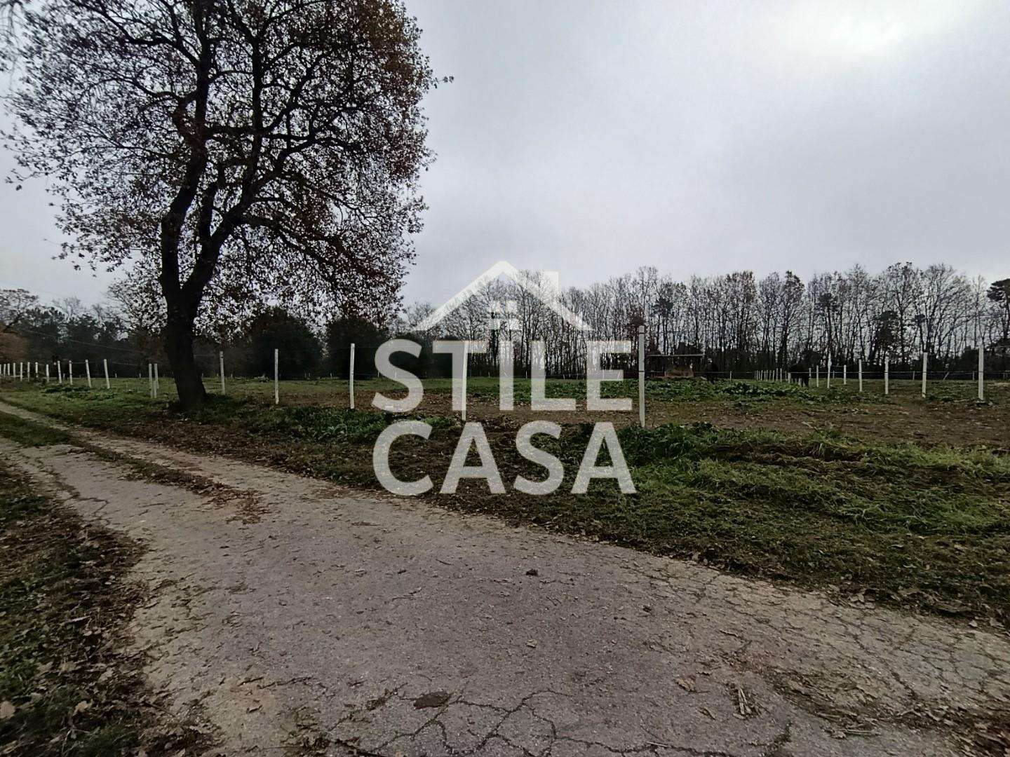  - foto 19