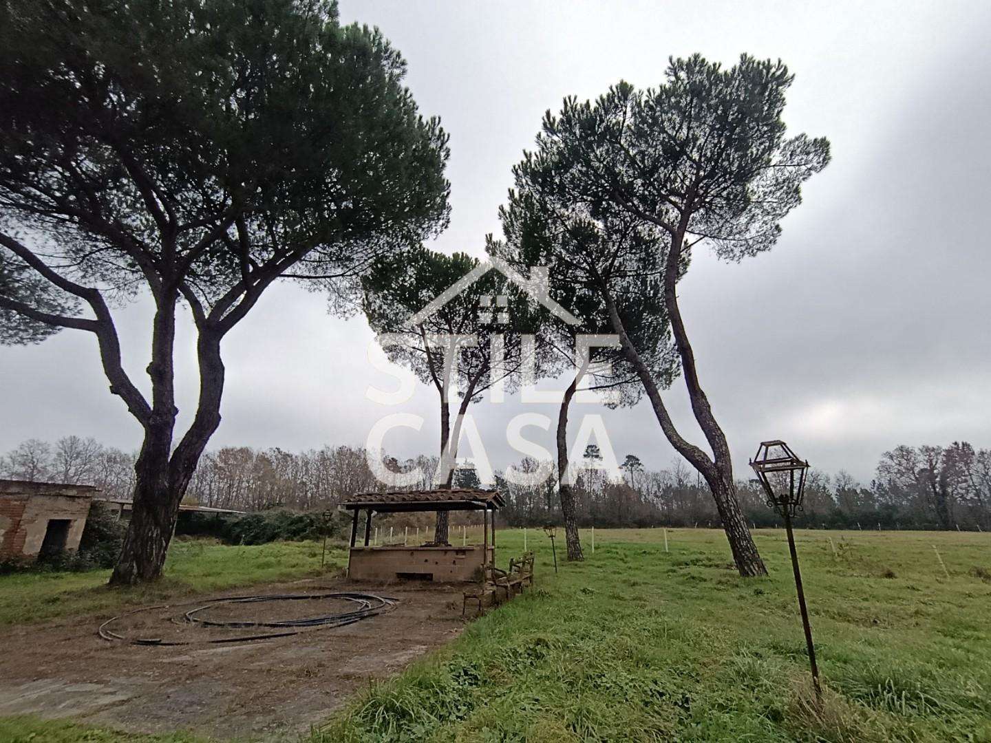  - foto 7