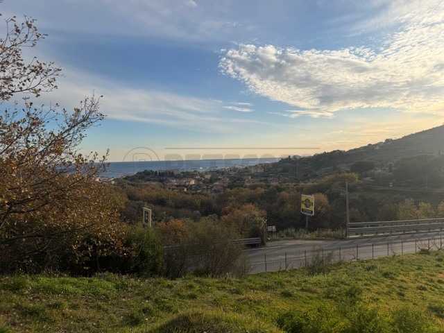  - foto 29