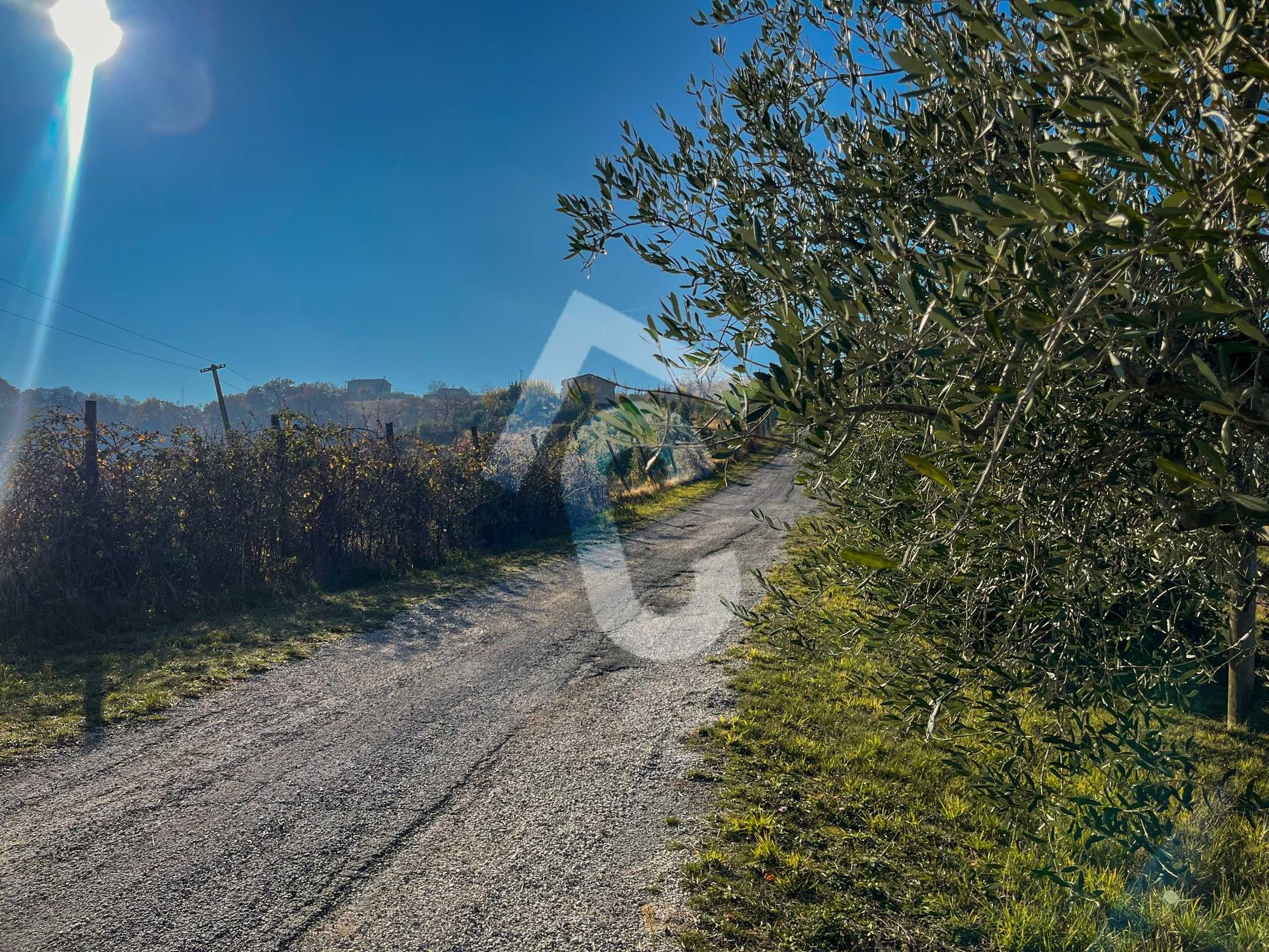  - foto 64