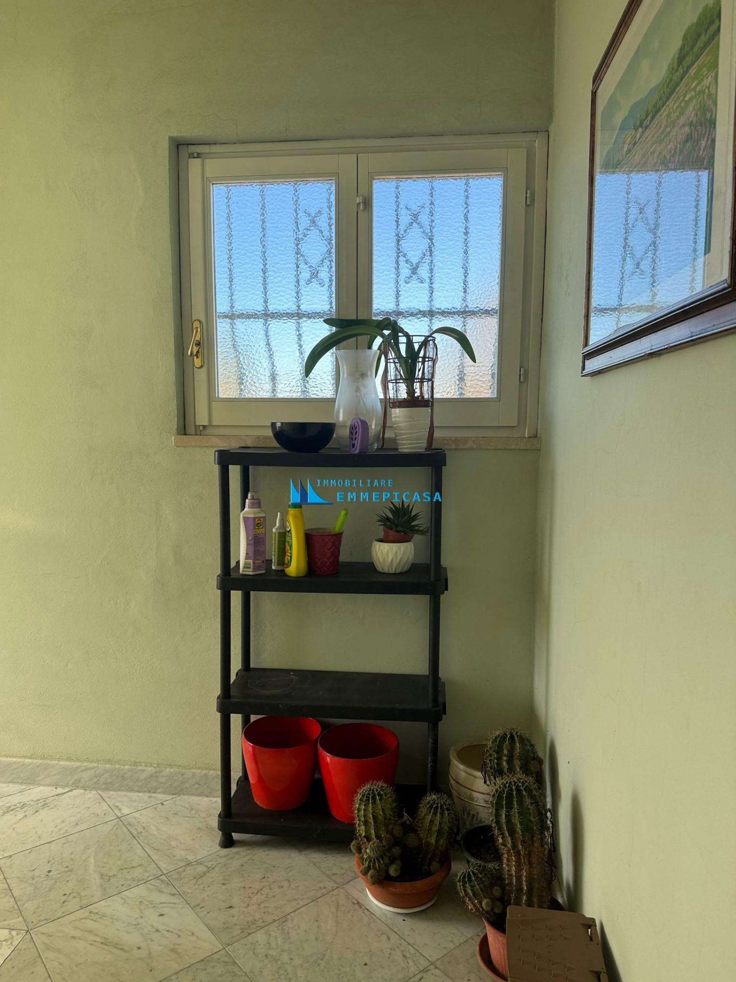  - foto 24