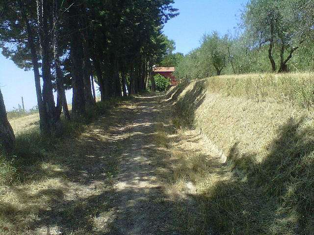  - foto 8