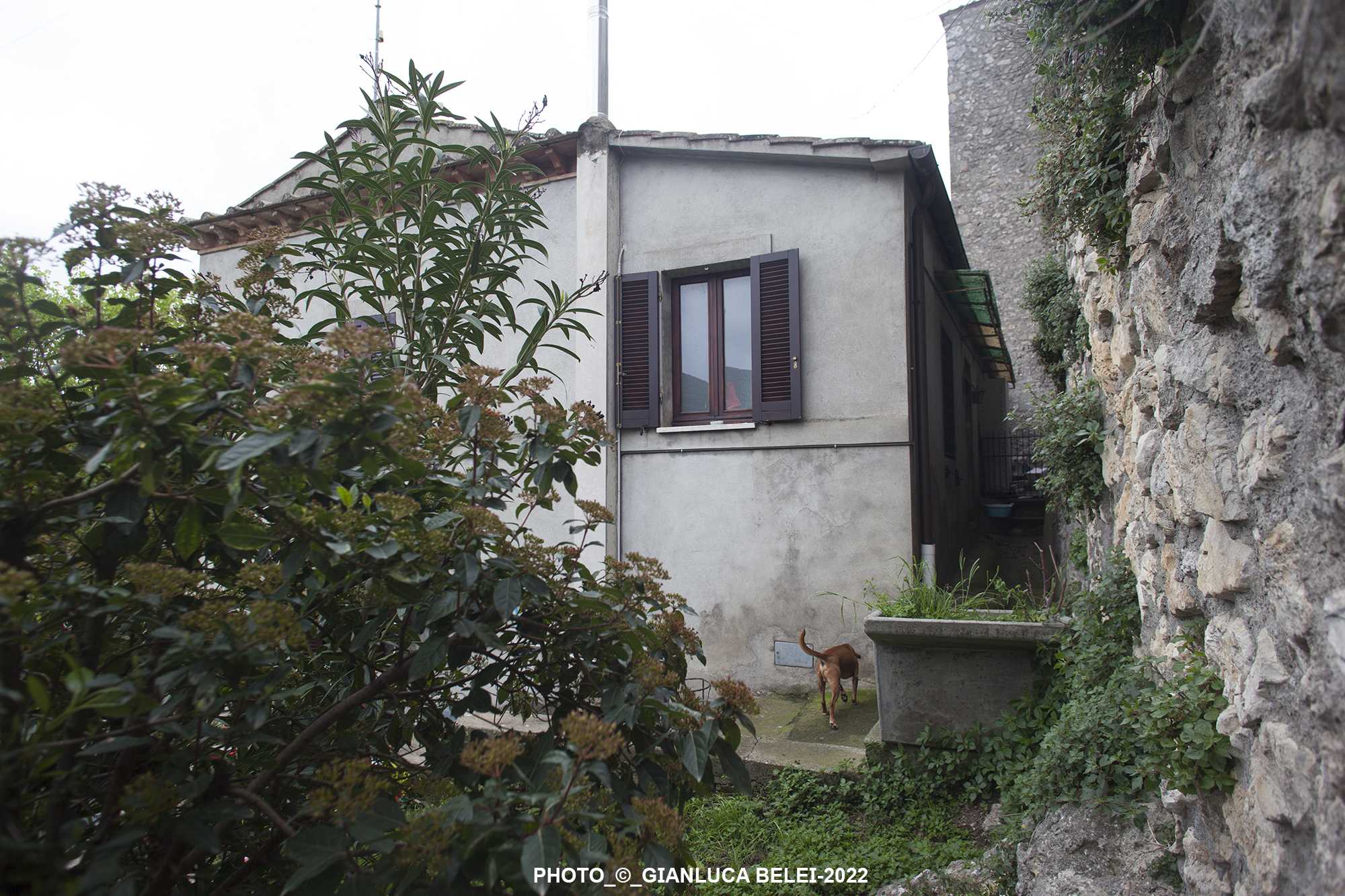  - foto 18