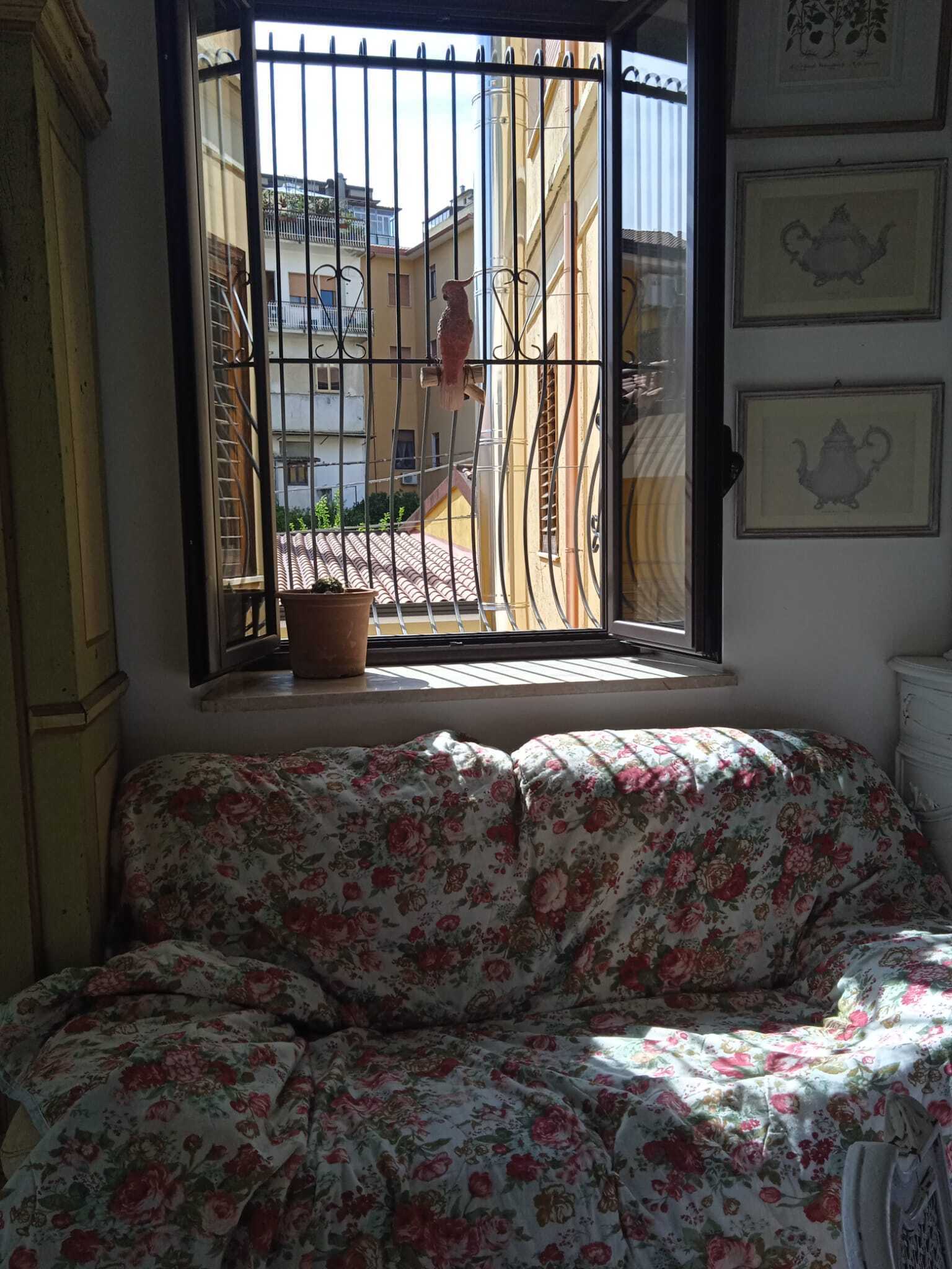  - foto 33