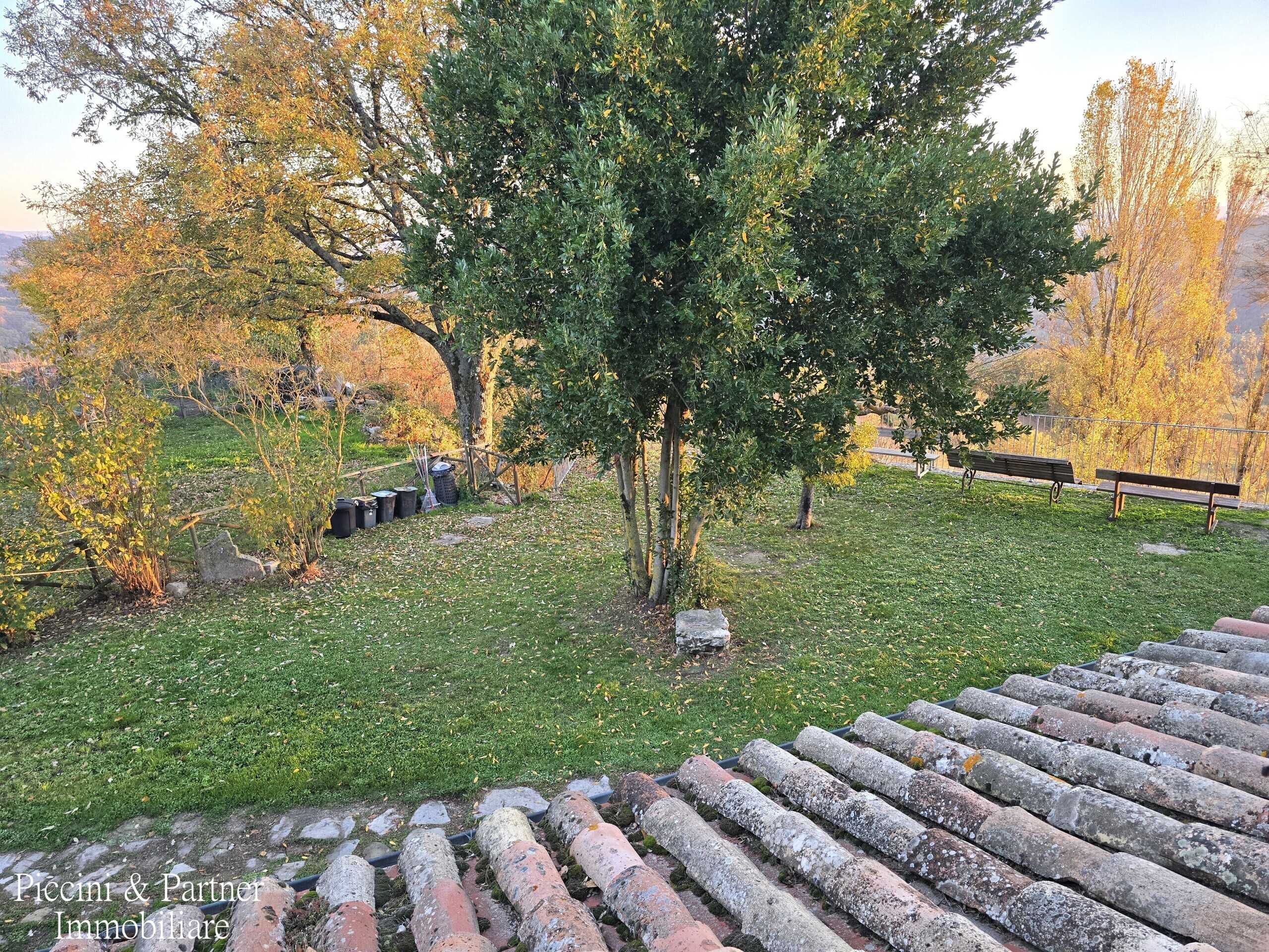 - foto 56