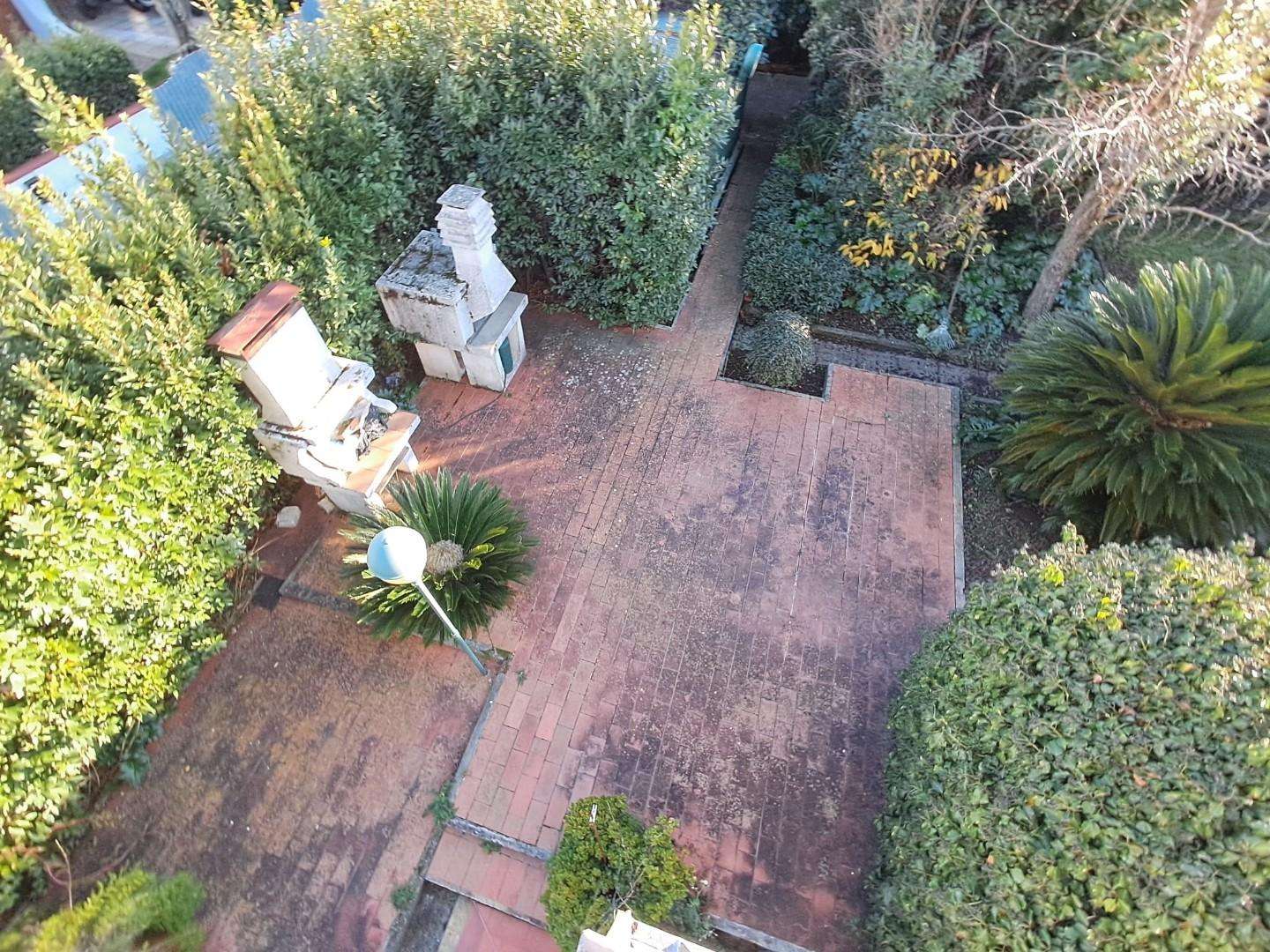  - foto 19