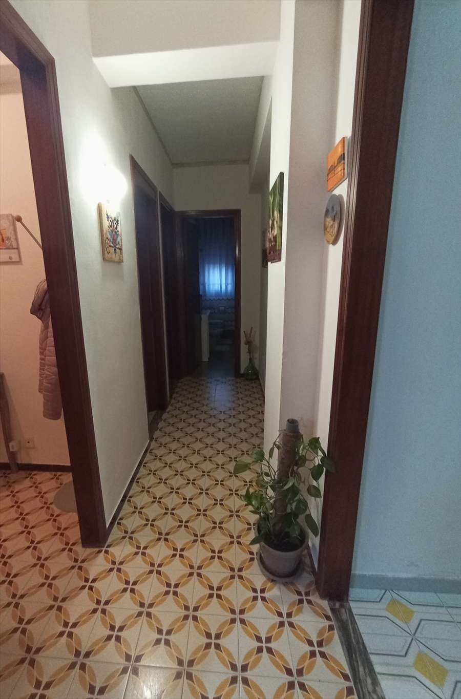  - foto 4