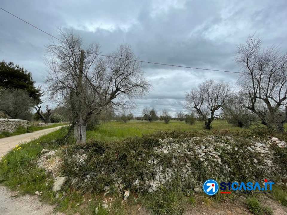  - foto 4