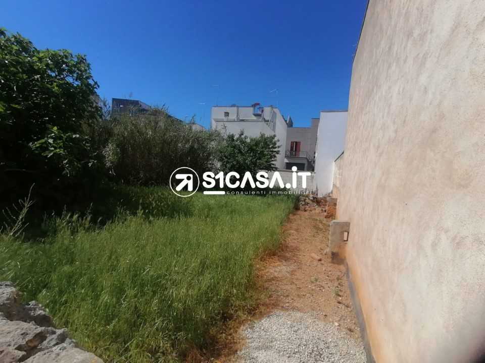  - foto 6