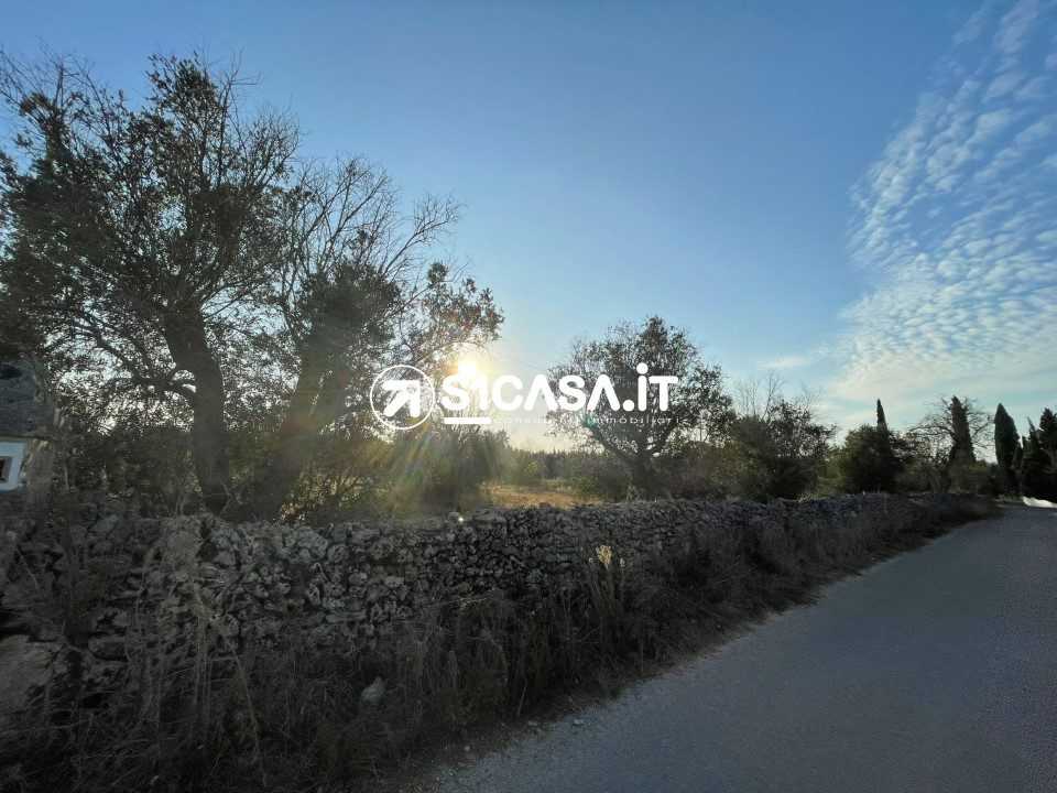  - foto 4