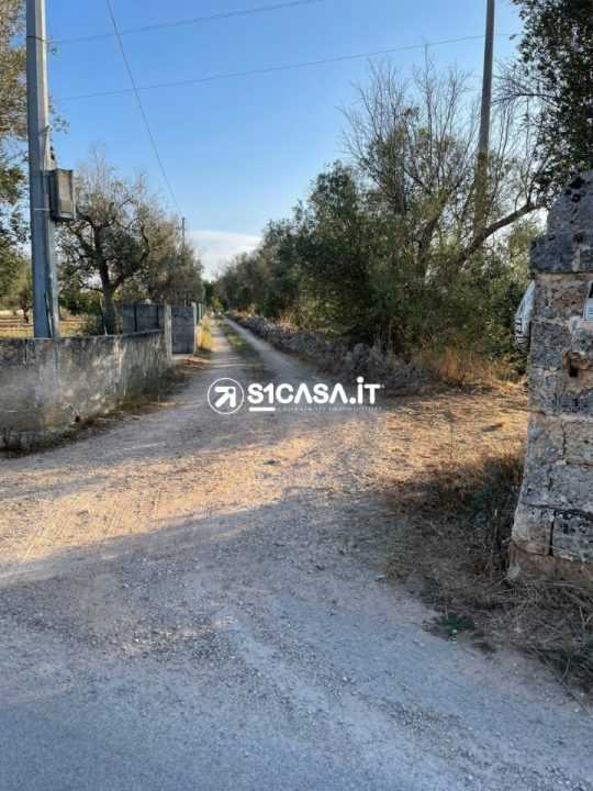 - foto 5