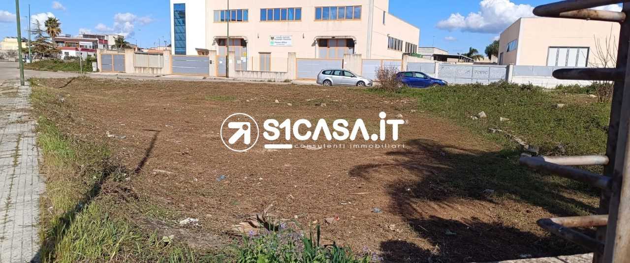  - foto 3