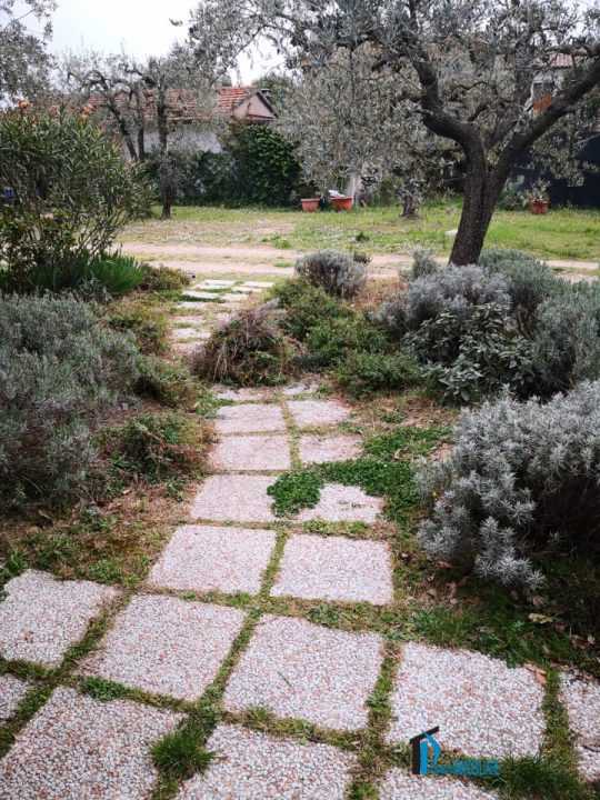  - foto 2