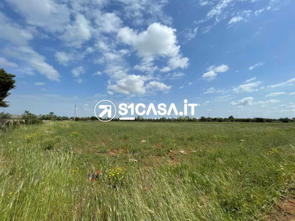  - foto 2