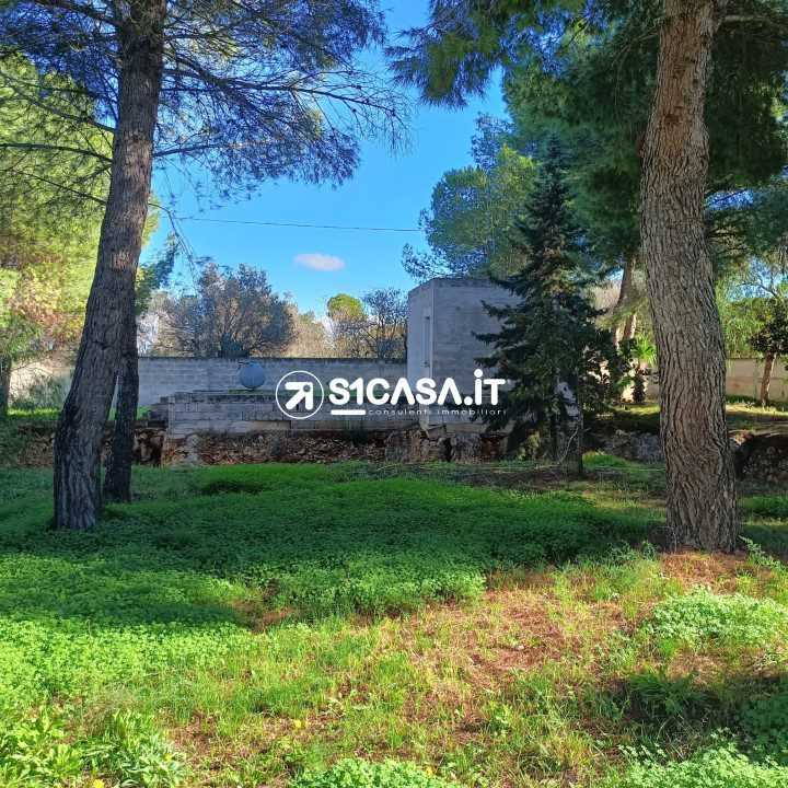  - foto 2