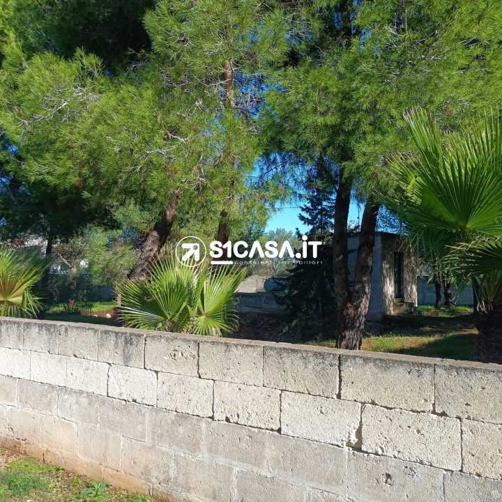  - foto 6