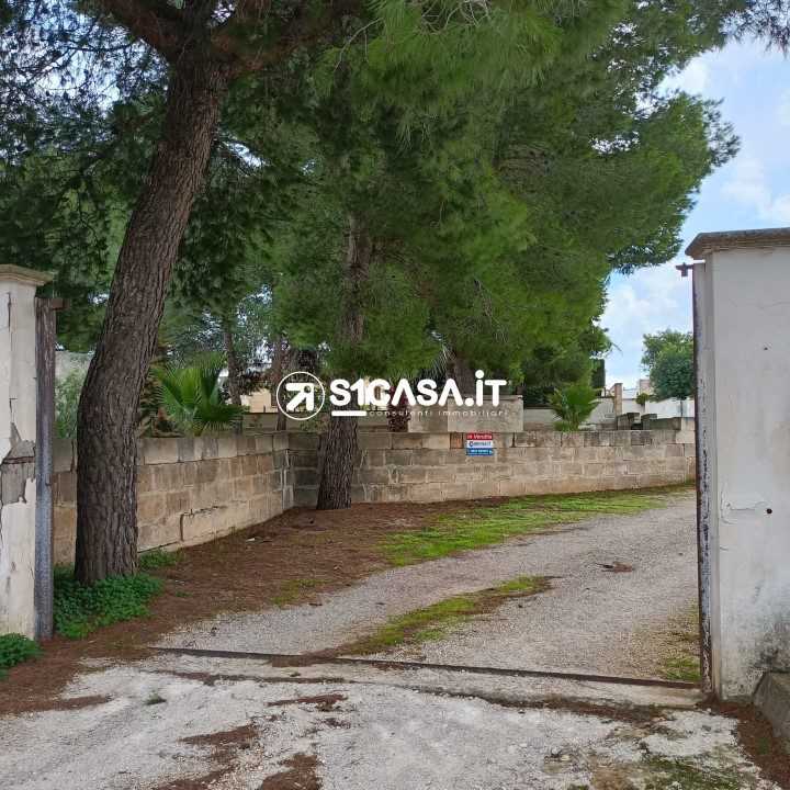  - foto 7