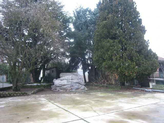  - foto 10