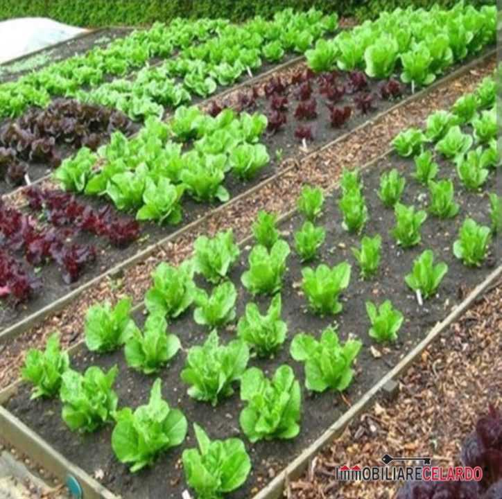 Terreno agricolo, Colle di Val d'Elsa