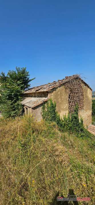 Azienda agricola, Poggibonsi