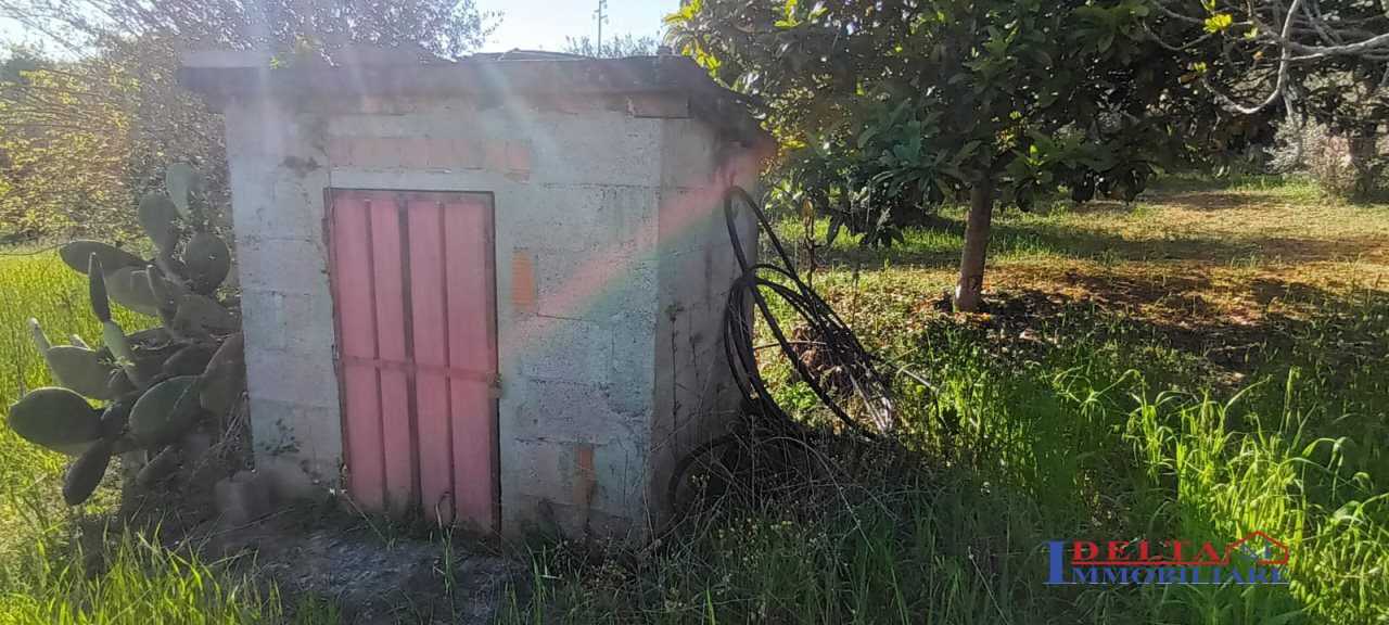  - foto 8
