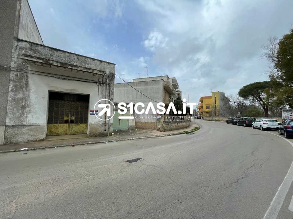  - foto 6