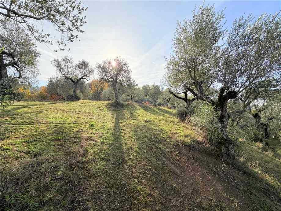  - foto 14
