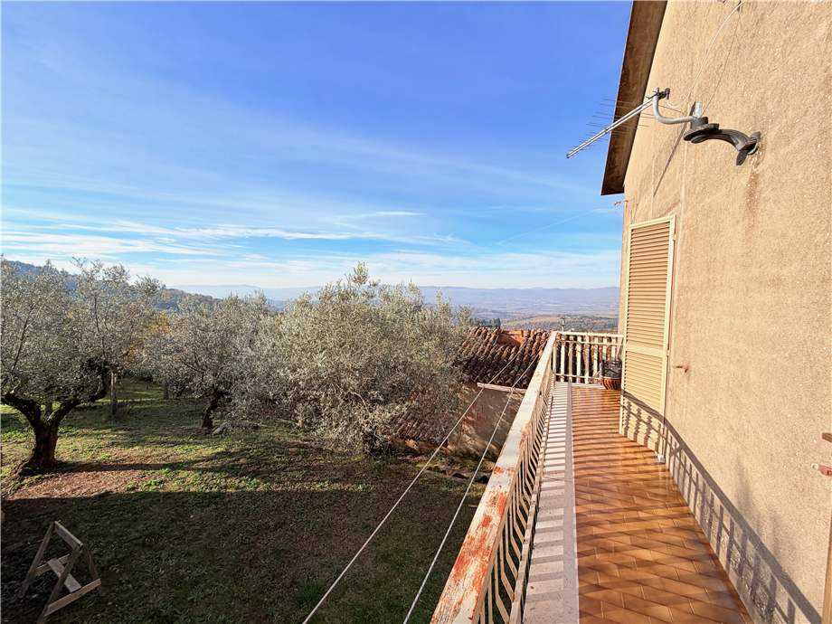 - foto 33