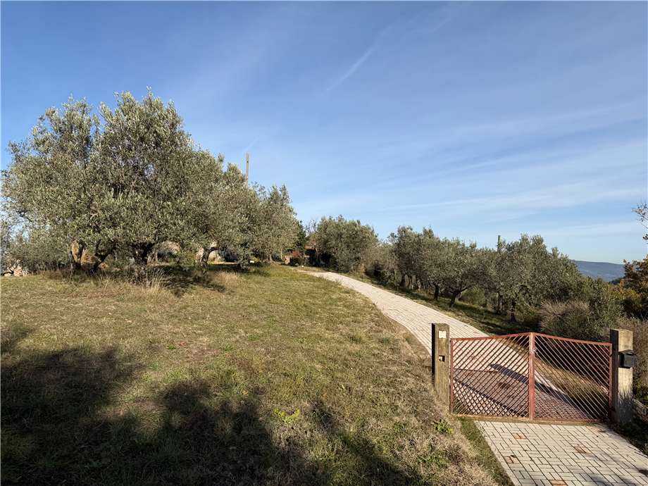  - foto 39