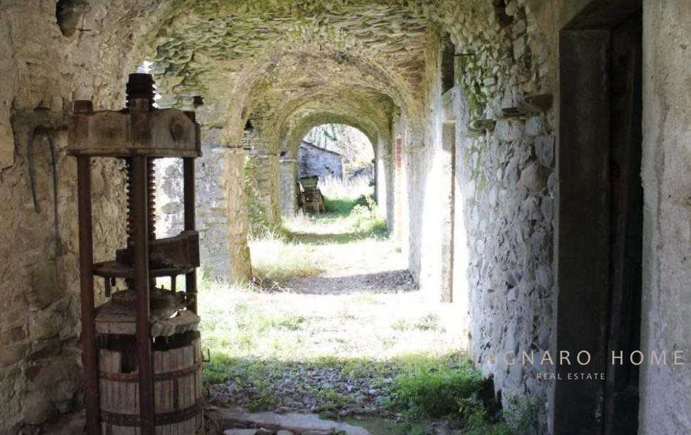  - foto 7