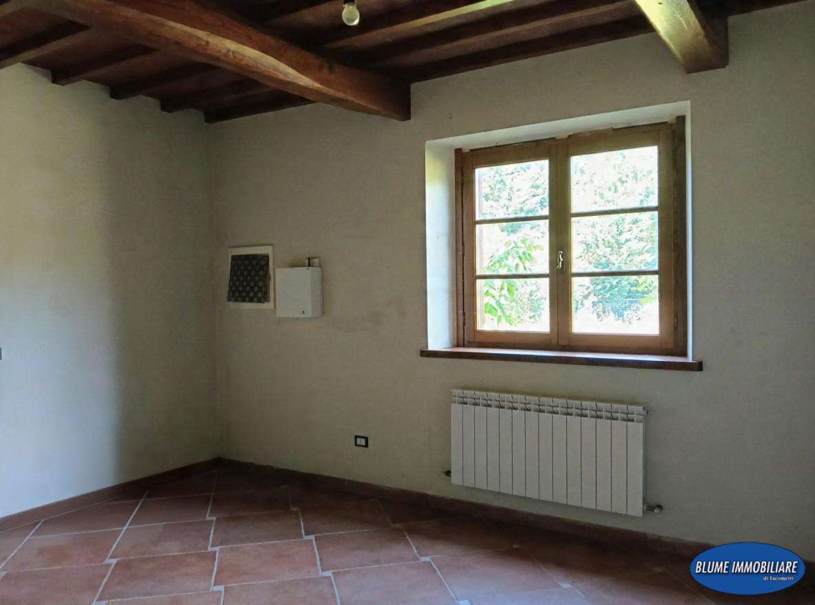  - foto 11