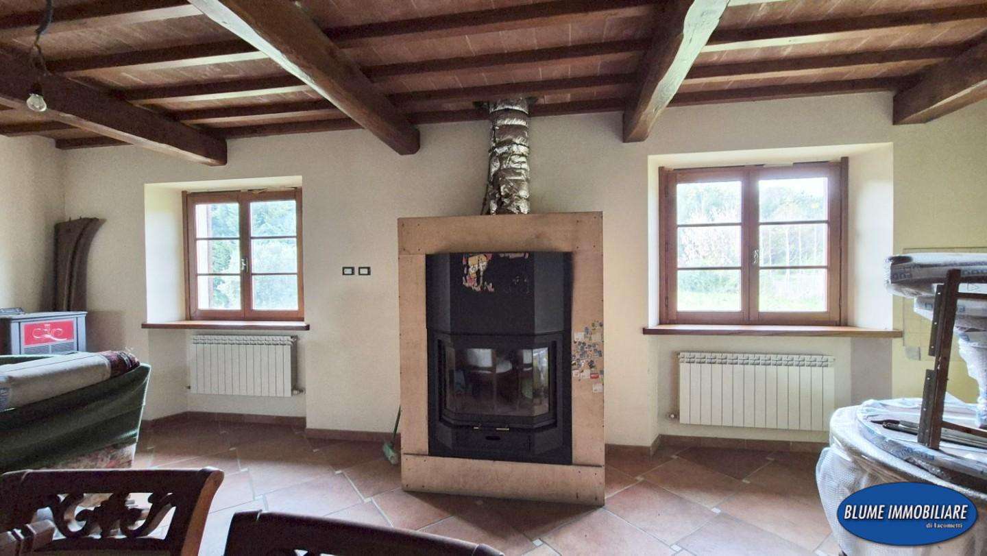  - foto 12