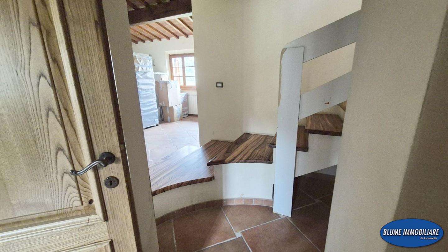  - foto 31