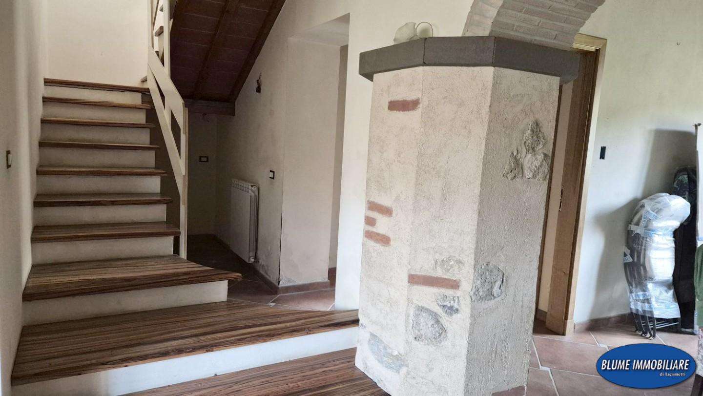  - foto 32