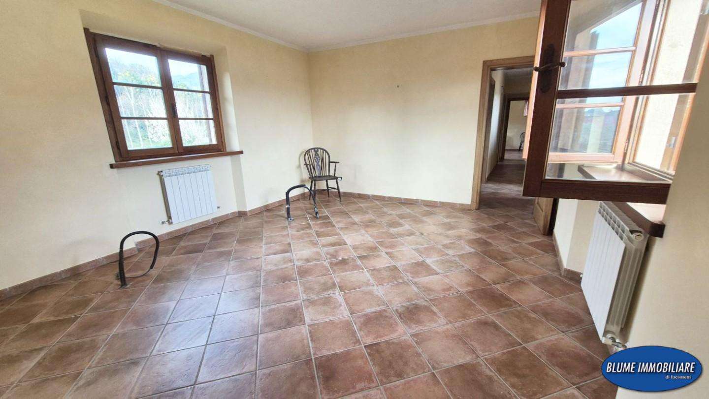  - foto 43