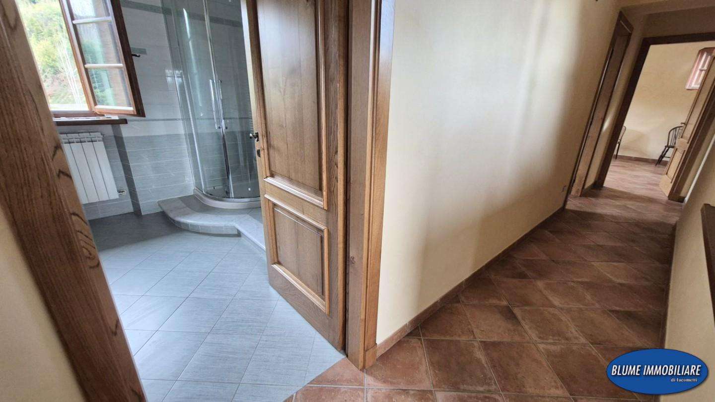  - foto 47