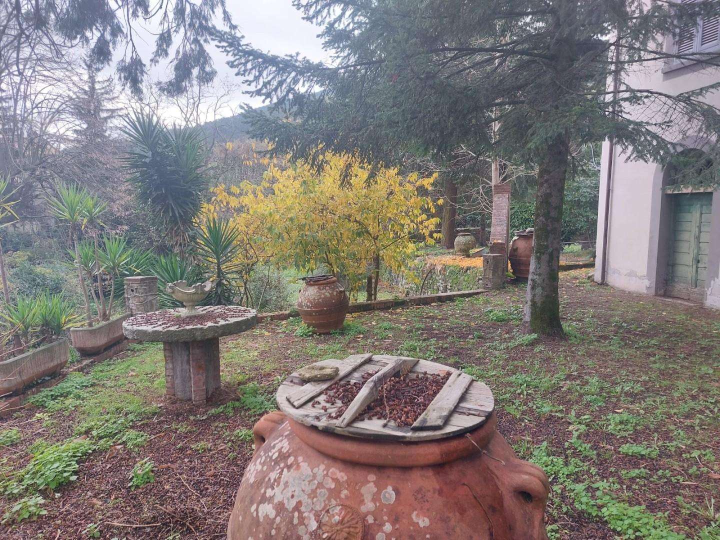  - foto 5