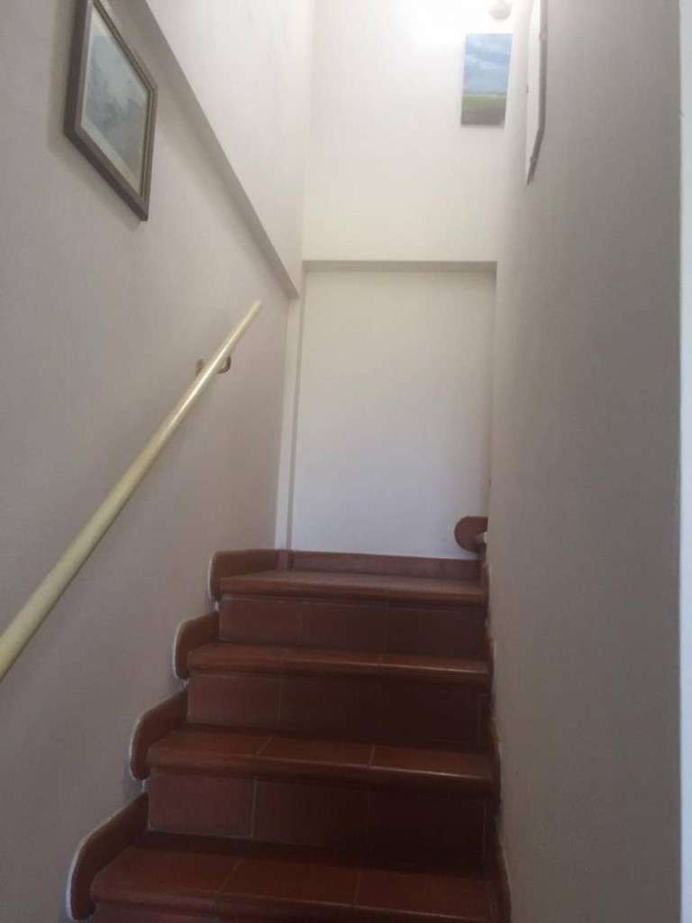  - foto 13