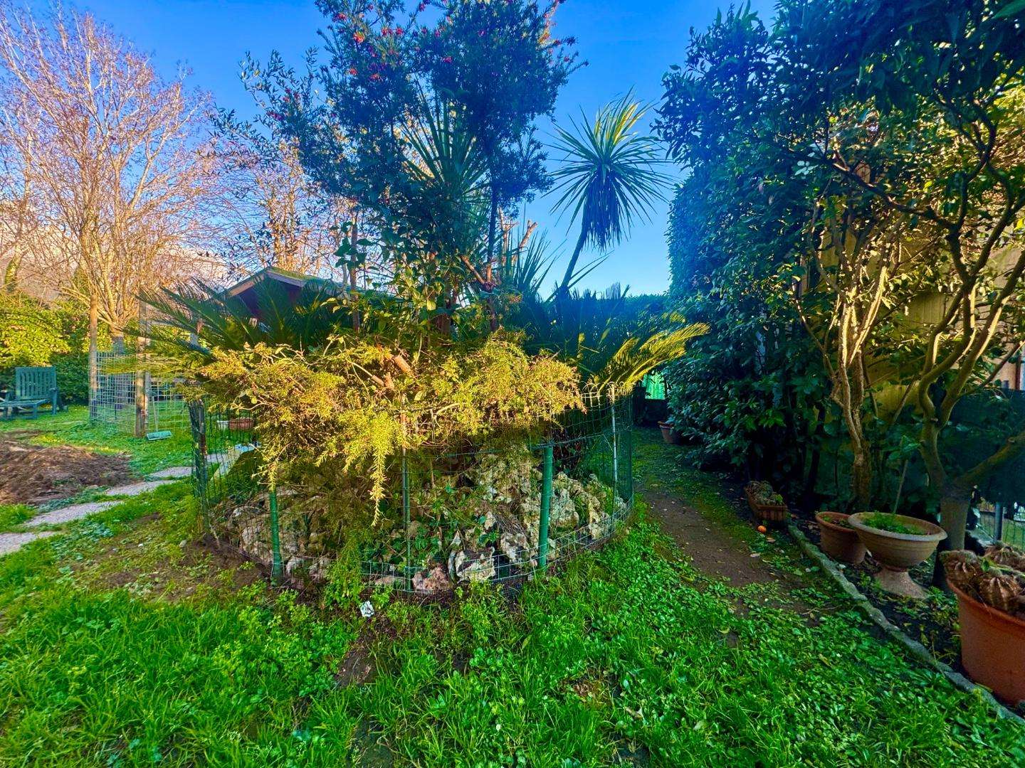  - foto 6