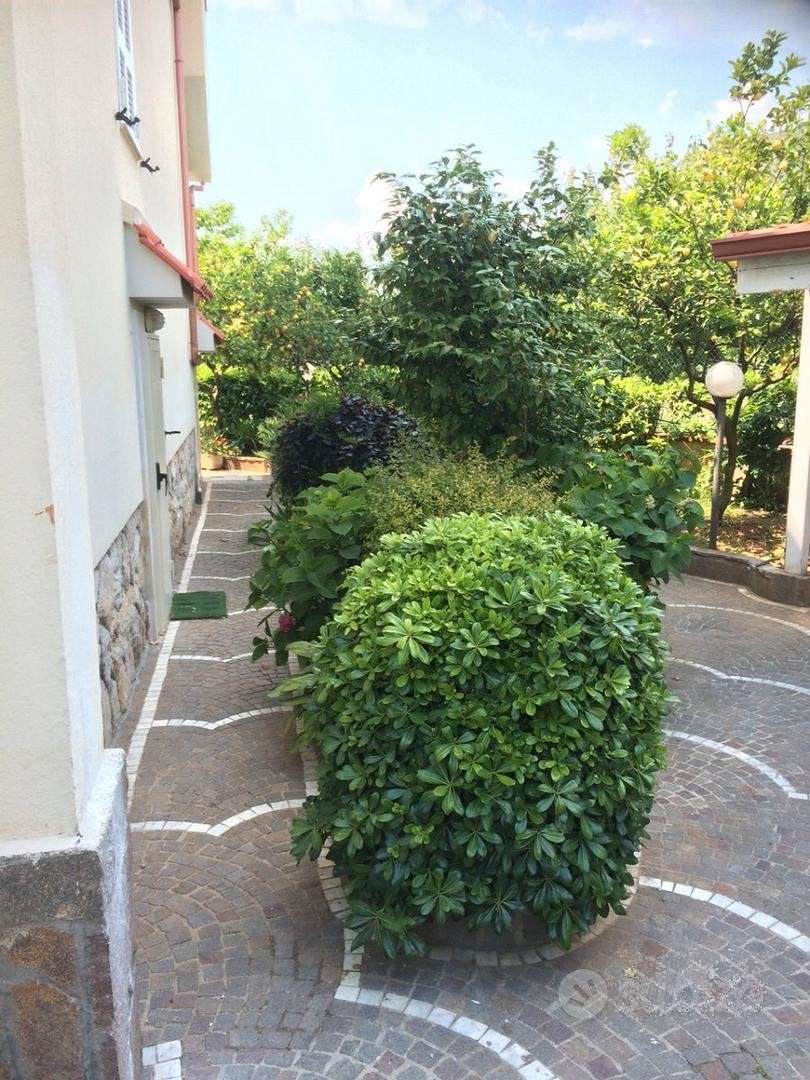  - foto 7