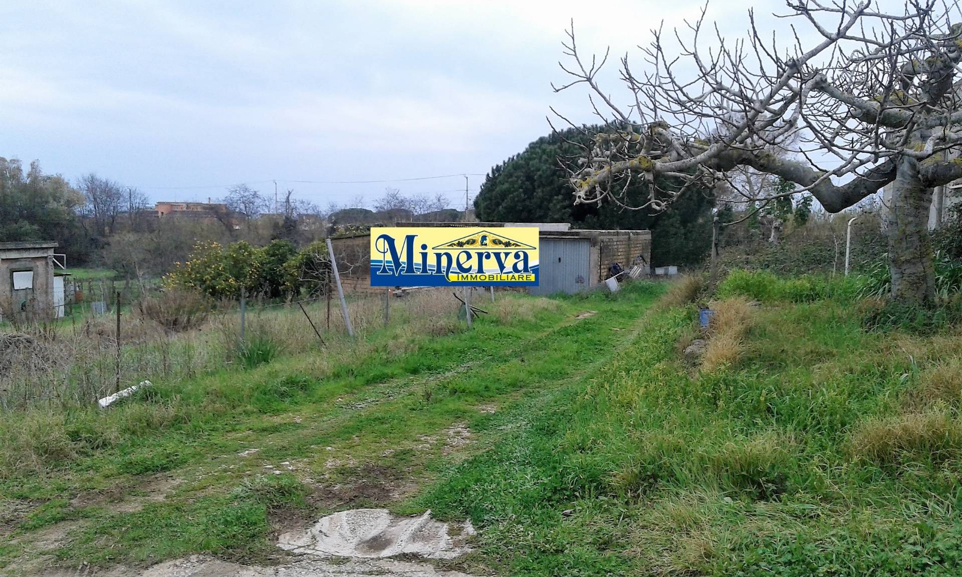  - foto 5
