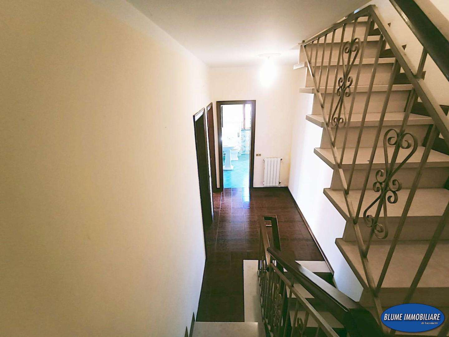 - foto 14