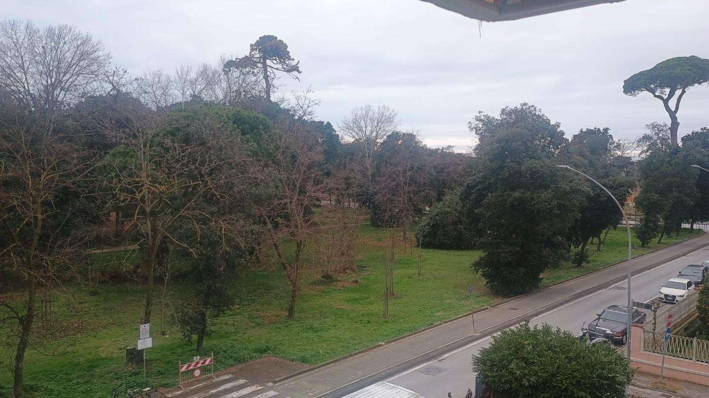  - foto 23