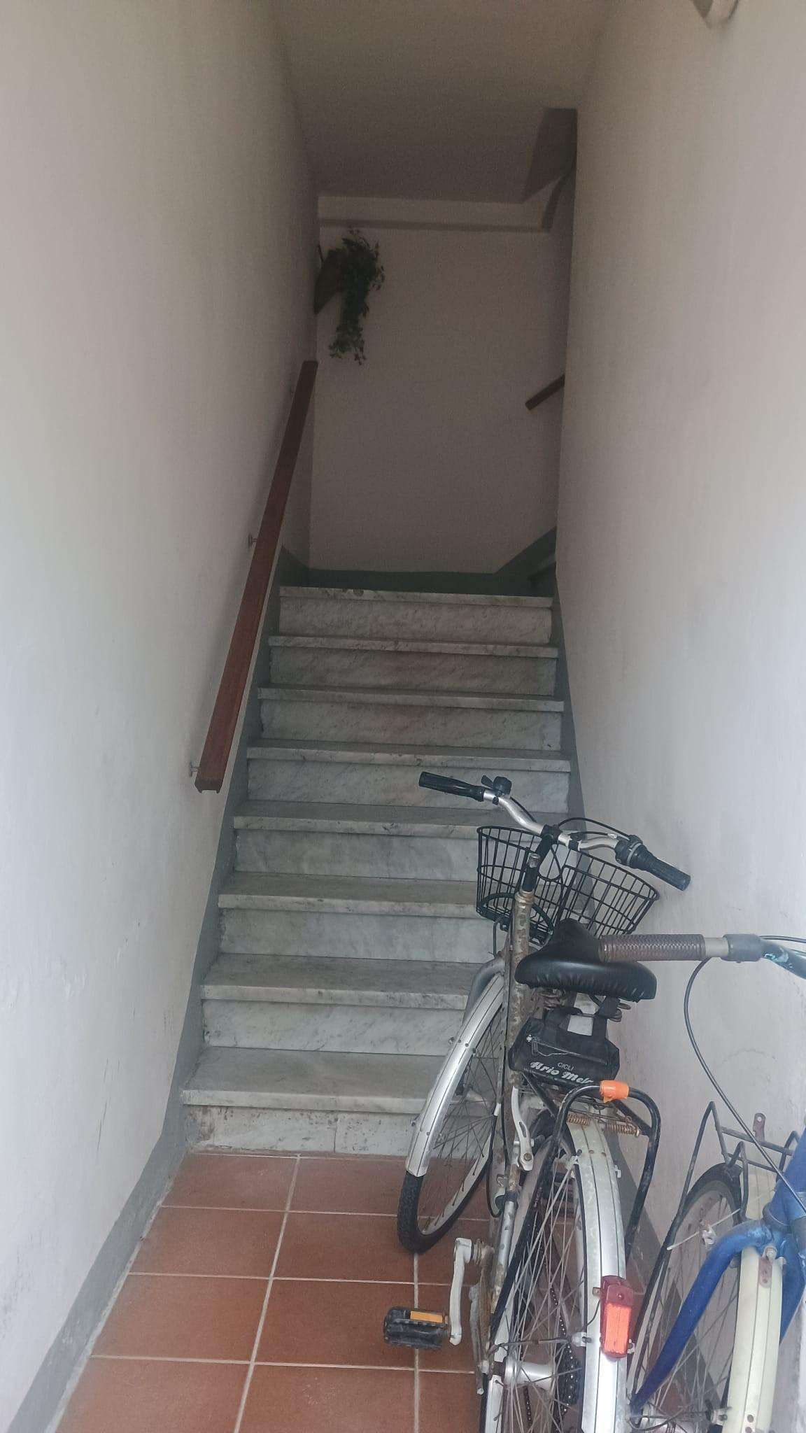  - foto 24
