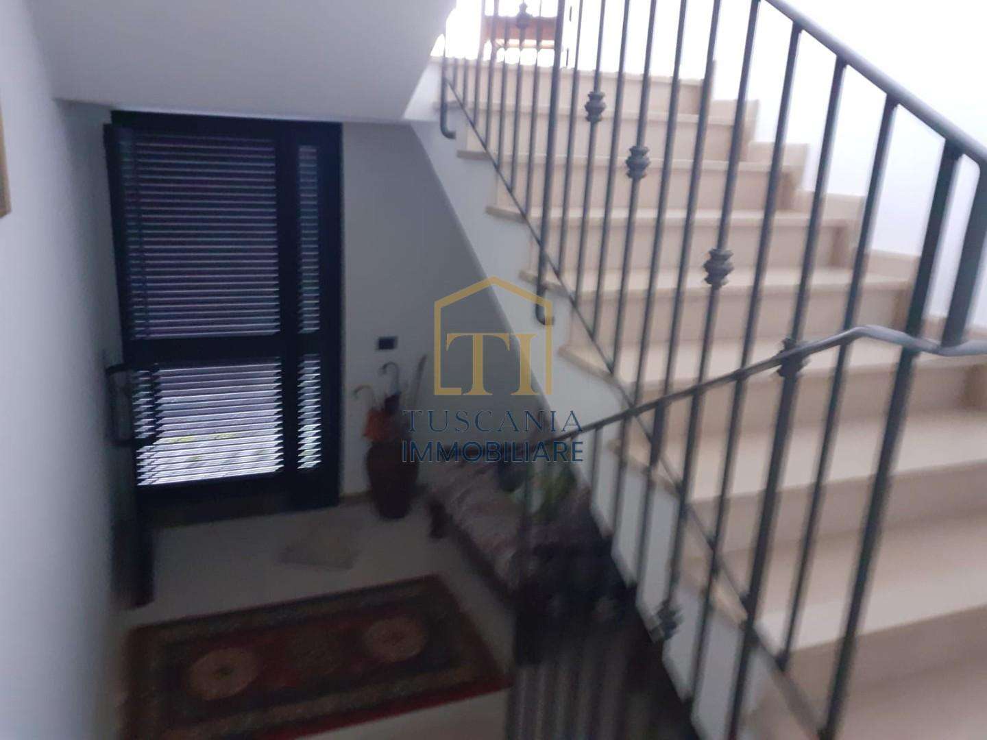  - foto 12